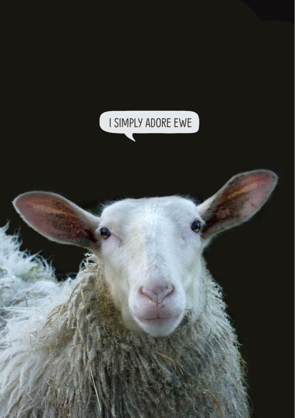 sheep with text 'I adore ewe'