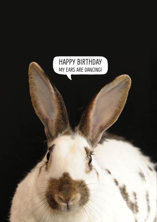 A rabbit with big ears 'Happy Birthday - My Ears Are Dancing'