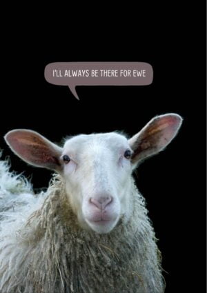 Sheep with text 'I'll always be there for ewe'