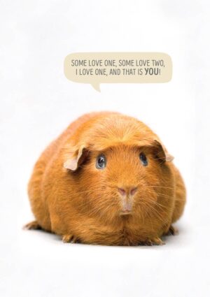 One Love Greeting Card with a guinea pig and a speech bubble saying 'Some love one, some love two. I love one and that is you!
