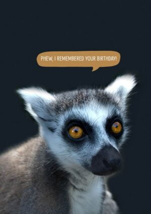 Lemur with speech bubble and text 'Phew, I remembered your birthday.'