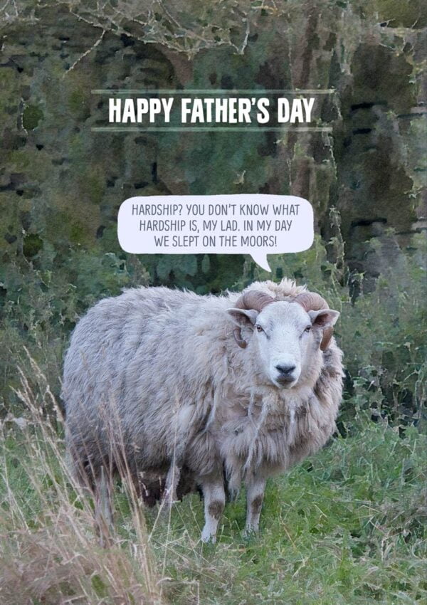 sheep with text ‘Hardship? You don’t know what hardship is, my lad. In my day we slept on the moors.’