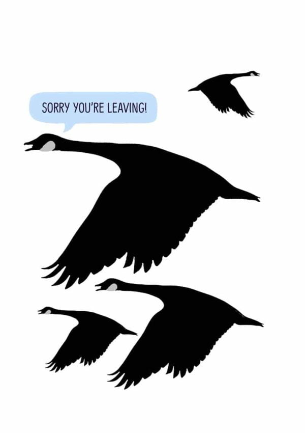 birds flying and text 'Sorry You're Leaving'