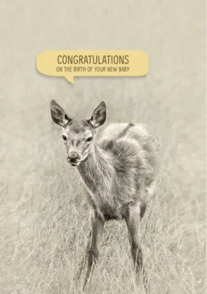 A young deer and the text 'Congratulations on the birth of your new baby'.