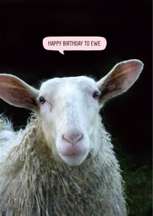 Sheep with speech bubble 'Happy Birthday To Ewe'