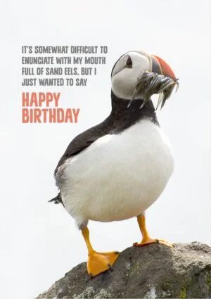 a Birthday card featuring a puffin standing on a rocky outcrop. It has a mouth full of sand eels, and being a polite bird is is saying 'It’s somewhat difficult to enunciate with my mouth full of sand eels, but I just wanted to say Happy Birthday'