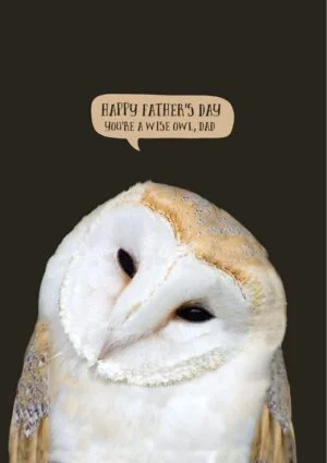 A barn owl with speech bubble and text 'Happy Father's Day - You're A Wise Owl, Dad'