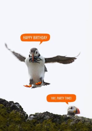 Puffin Party - puffins on the Isle Of May and speech bubbles and text, 'Happy Birthday' and 'Yay, Party Time'