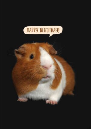 Happy Day Greeting Card with a guinea pig with a speech bubble and text, 'Happy Birthday!'