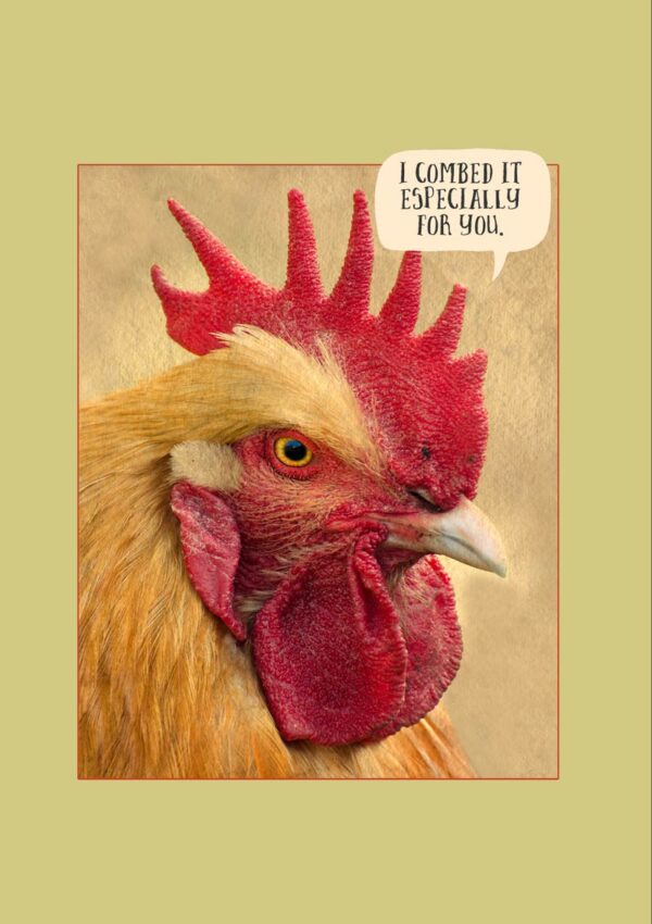 a cockerel with a magnificent red comb, and text that reads, 'I combed it specially for you.'