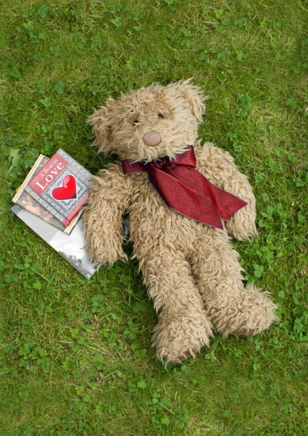Teddy Bear lying on its back on the grass staring up at the sky with books near it including one entitled 'A Bear In Love'