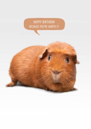 Worth It Greeting card with a crested guinea Pig with speech bubble and text, Happy Birthday, because you're worth it'