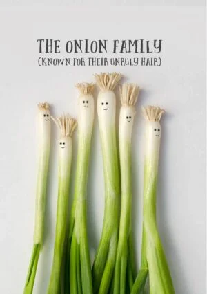 a family of spring onions and text 'The Onion Family - Known For Their Unruly Hair'