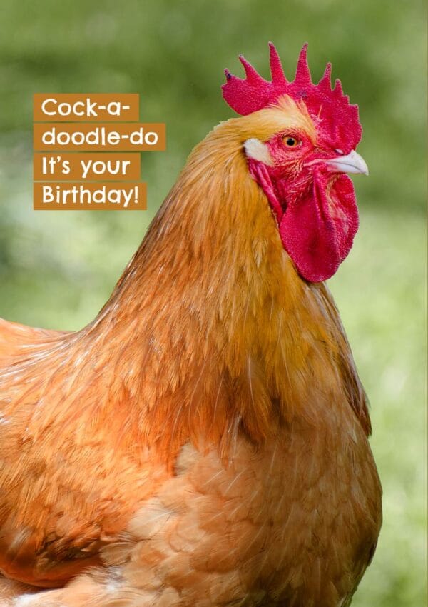 A rooster and text, 'Cock-a-doodle-do It's your Birthday!!'