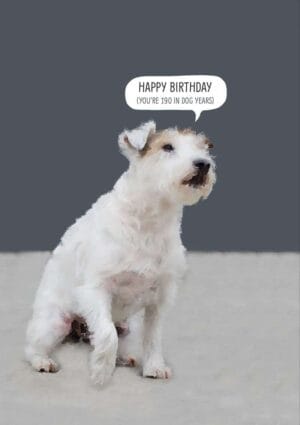 Birthday card - Dog with text, 'Happy Birthday - you're 190 in dog years'