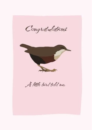 A dipper and text, 'Congratulations - A Little Bird Told Me'