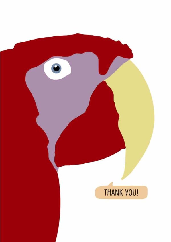 A red macaw saying thank you