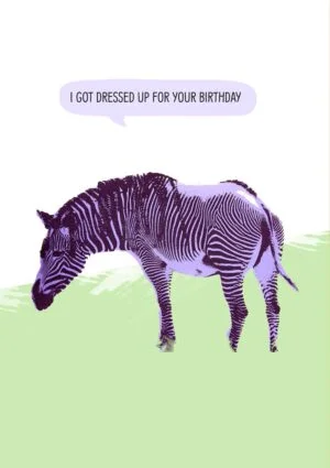 A zebra with purple stripes on its head, front legs, and the front part of its chest. The text reads 'Happy Birthday - I Got Dressed Up For The Occasion'
