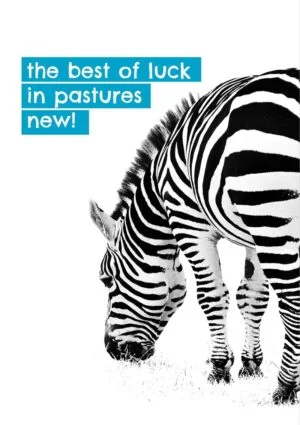 A leaving card with a zebra grazing with text 'The Best Of Luck In Pastures New' - to leave is to find new beginnings