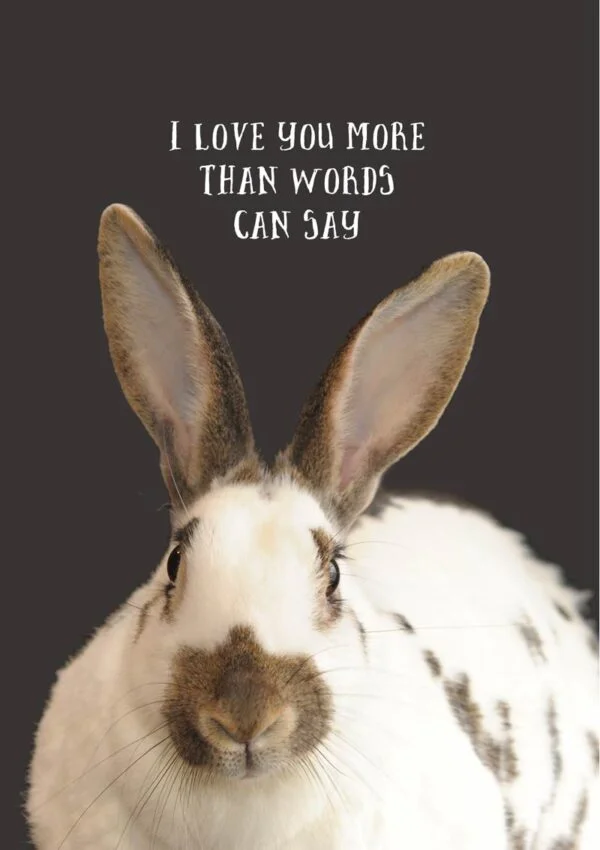 A sitting rabbit in profile, and text 'I Love You More Than Words Can Say'