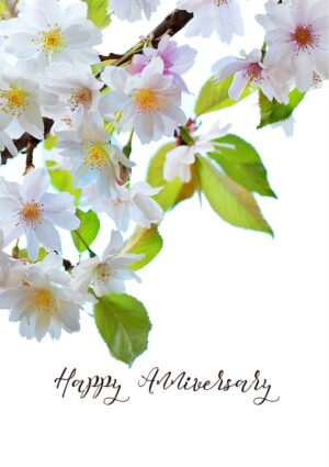 Cherry blossoms with white and pink petals and text 'Happy Anniversary'.