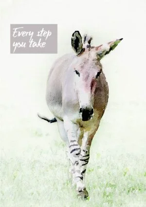 A greeting card featuring an Abyssinian Wild Ass walking towards the viewer, and text 'Every Step You Take'