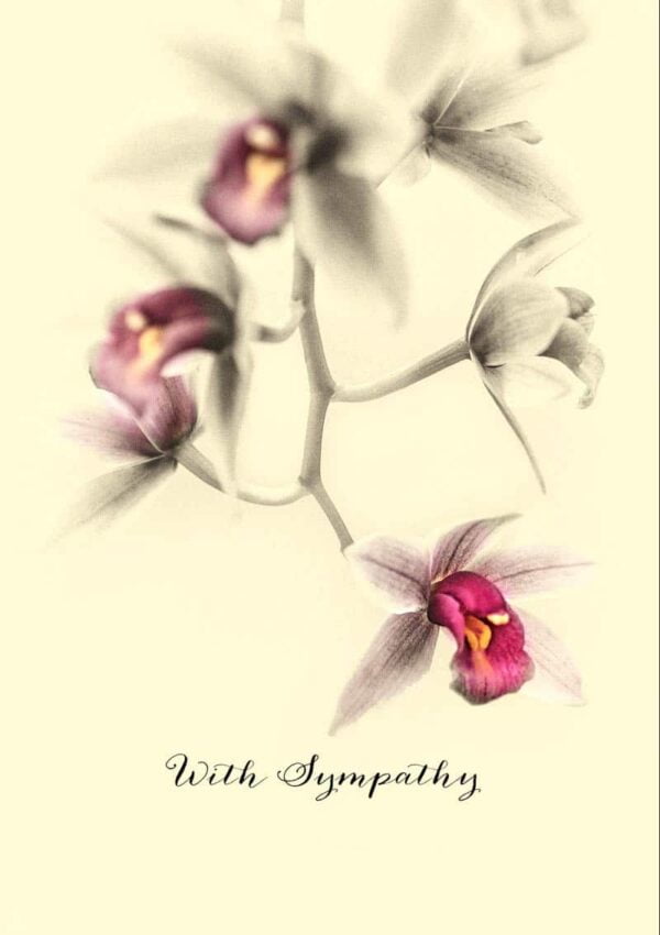 A toned image of a Cymbidium orchid and text 'With Sympathy'