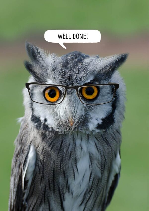 Spectacles is a card featuring an owl wearing a pair of glasses, with a speech bubble and text 'Well Done'