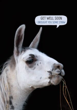 A llama with straw dangling from its mouth and a speech bubble and text 'Get Well Soon - I Brought You Some Straw'