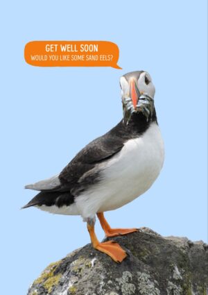 a puffin standing on a rock with a beak full of sand eels and a speech bubble with text 'Get Well Soon - Would You Like Some Sand Eels?'