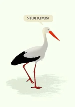 Arrival: a stork standing on one leg with the other raised, and a speech bubble and text 'Special Delivery'