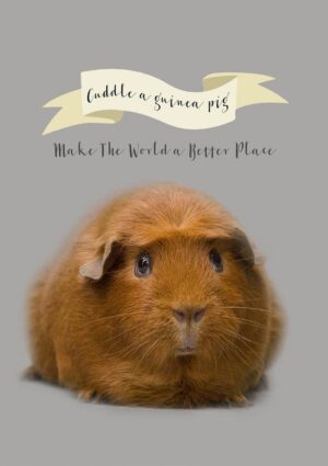 Cuddle Greeting Card with a guinea pig and a banner with text 'Cuddle A Guinea Pig' and 'Make The World A Better Place'