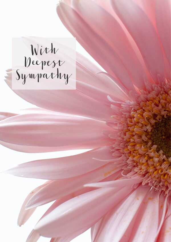 A close up of a gerbera with pale pink petals and text 'With Deepest Sympathy'