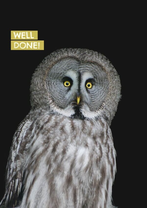 Large owl with surprised expression, and text 'Well Done'