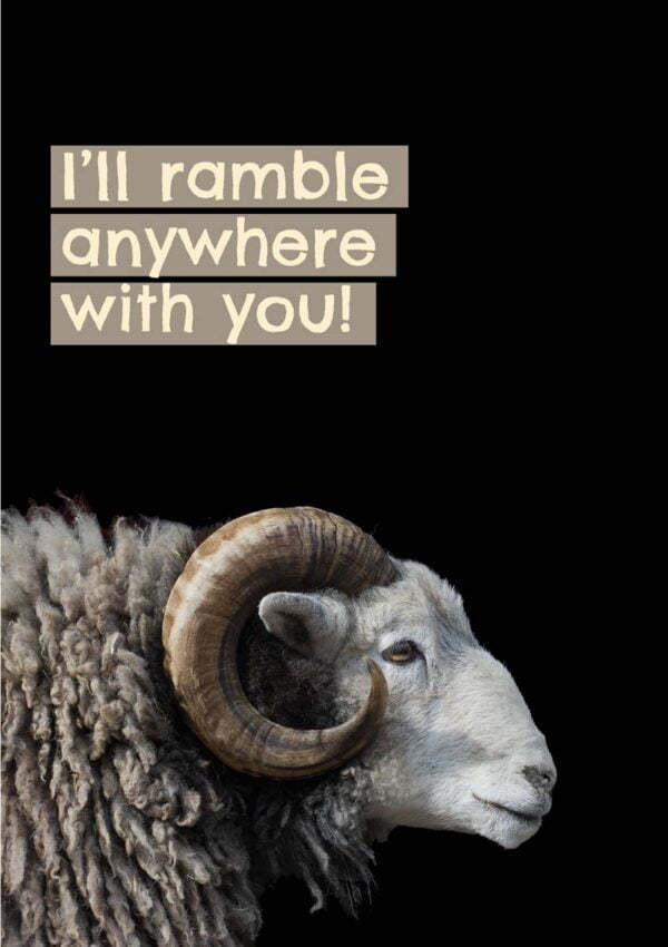 Ramble is a greeting card with a ram with magnificent horns and shaggy coat seen in profile and text 'I'll ramble anywhere with you'