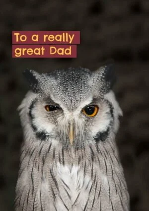 A winking owl and text 'To A Really Great Dad'