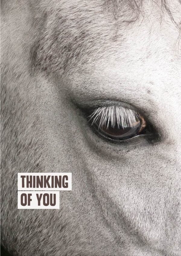 A close up of a white horse showing one eye and part of its face, with text 'Thinking Of You'