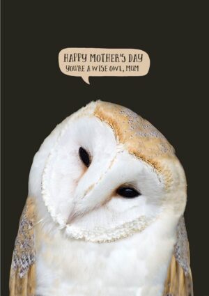 A beautiful barn owl with its head tipped to one side, and text 'Happy Mother's Day - You're A Wise Owl, Mum' - Wise Mum