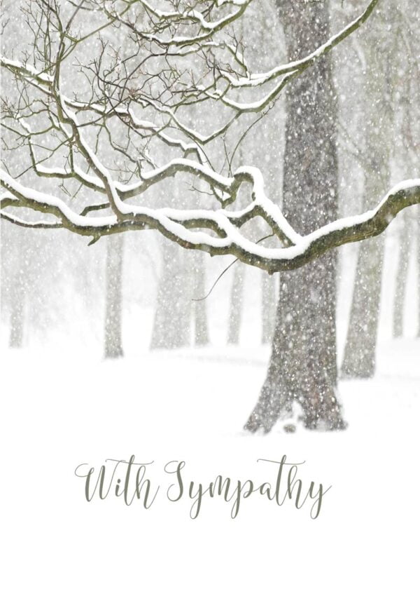 A quiet landscape after a recent snowfall, with snow-laden branches and snow on the ground and text 'With Sympathy'.