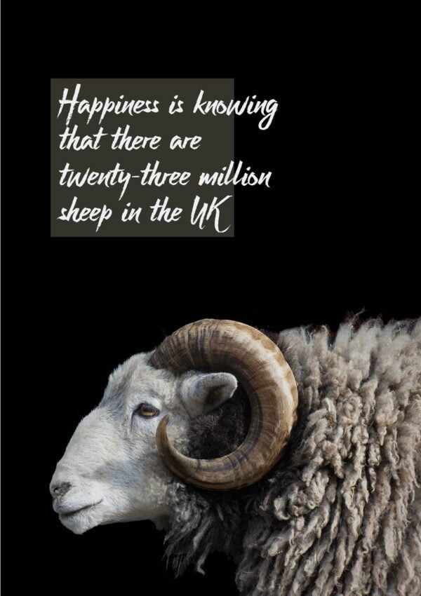 A Herdwick ram with a long fleece and curved horns viewed in profile and text that reads 'Happiness is knowing that there are twenty-tree million sheep in the UK'