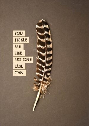 A brown and white striped feather against a brown background with text picked out against a pale cream background 'You Tickle Me Like No One Else Can'