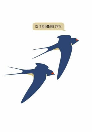 Humorous Summer Greeting Card featuring two swallows flying close to one another and a speech bubble with one of the swallows saying 'Is It Summer Yet?'