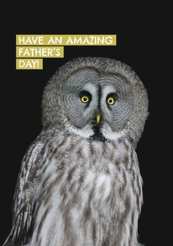 A large grey Father Owl with an amazed or startled expression and text 'Have An Amazing Father's Day'