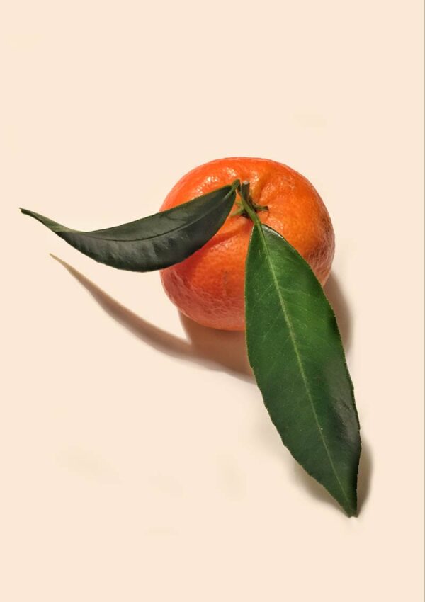 A clementine greeting card featuring an orange coloured clementine