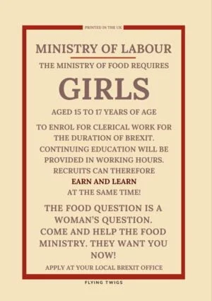 Clerks Anti-Brexit Greeting Card featuring a mockup of a World War II Ministry Of Information poster about clerical work for 'girls'.