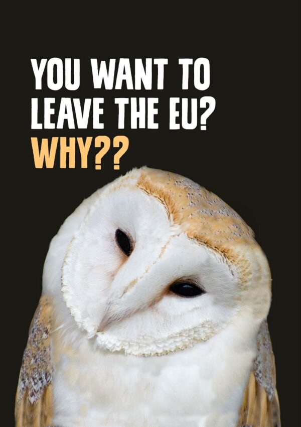 A satirical 'Owl' Anti-Brexit Greeting Card to support the No Brexit, anti-Brexit movement, featuring a wise owl asking the question 'You want to leave the EU?, Why?'