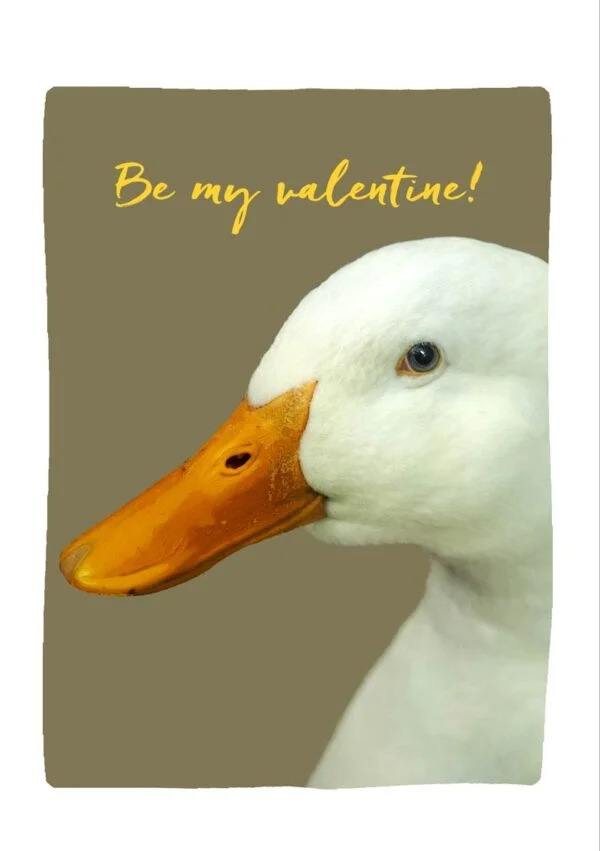 Yellow Beak Valentine's Day Card with a white duck and the words 'Be my valentine!'