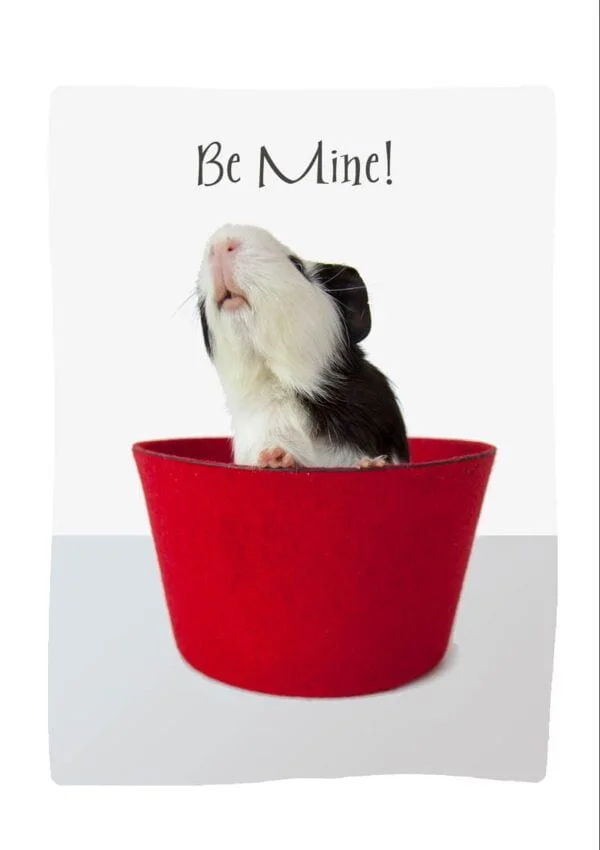Be Mine Valentine's Day Card with a guinea pig in a fez and text Be Mine