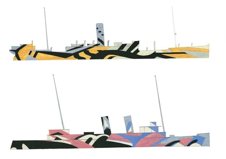Dazzle Camouflage for warships and zebra dazzle camouflage for zebras